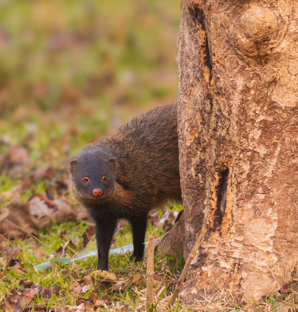 Photograph by Sabari Ganesh Sivakumar