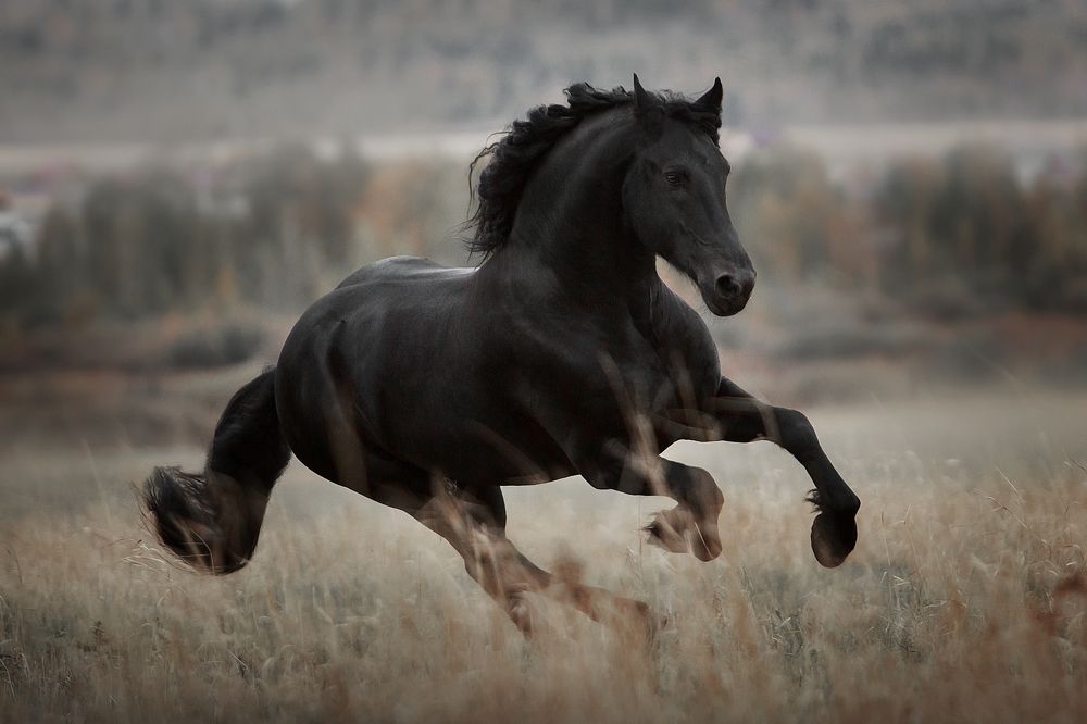 Photograph by Дарья Ералева