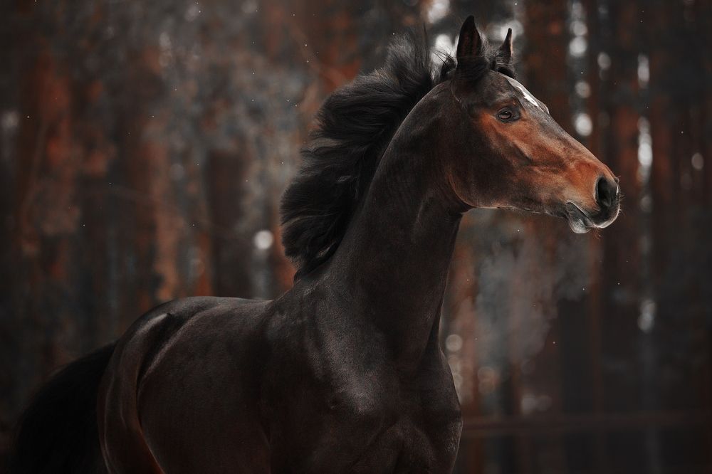 Фотография автора Дарья Ералева