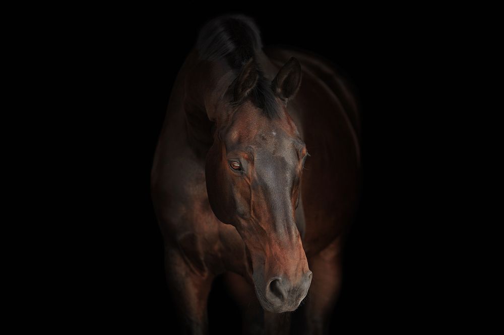 Photograph by Дарья Ералева