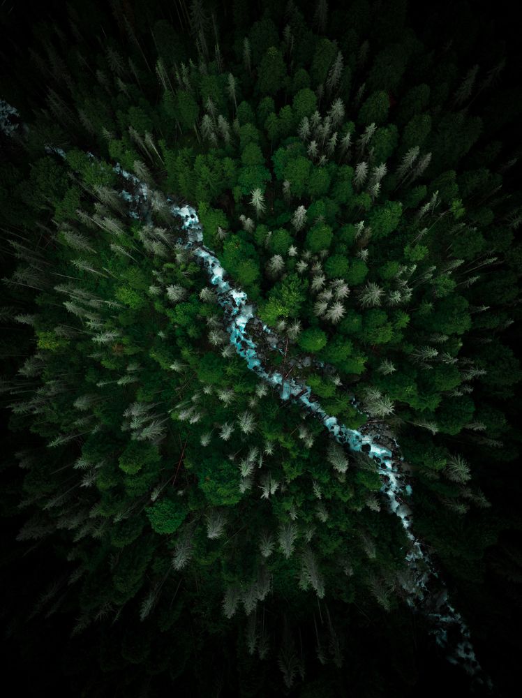 Photograph by Aleksandr Ivanov