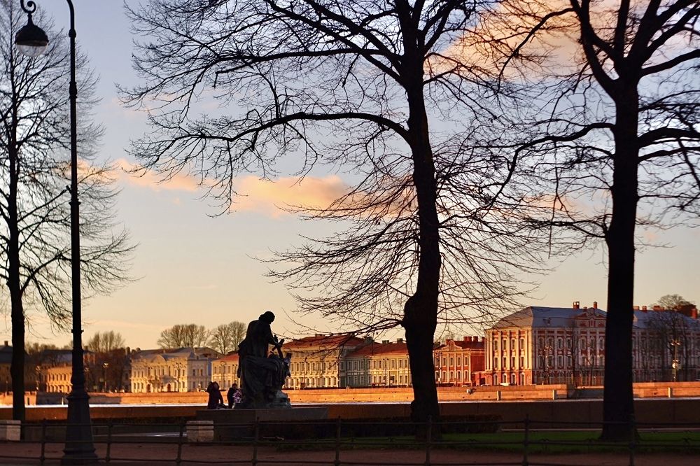 Фотография автора Виктория Шаманова