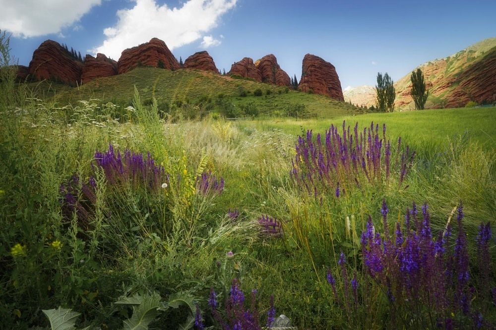 Фотография автора Татьяна Добровольская