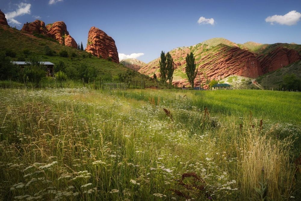 Фотография автора Татьяна Добровольская