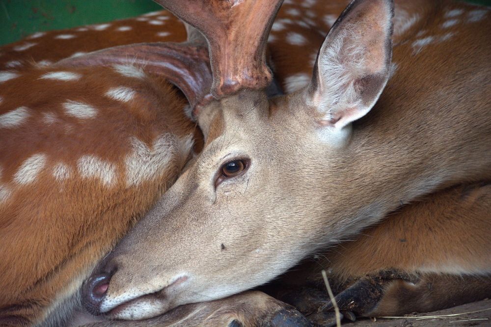 Photograph by Юсиф Саркаров