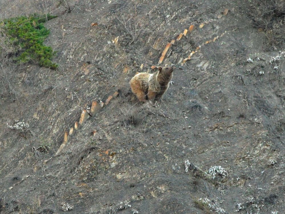 Photograph by Юсиф Саркаров