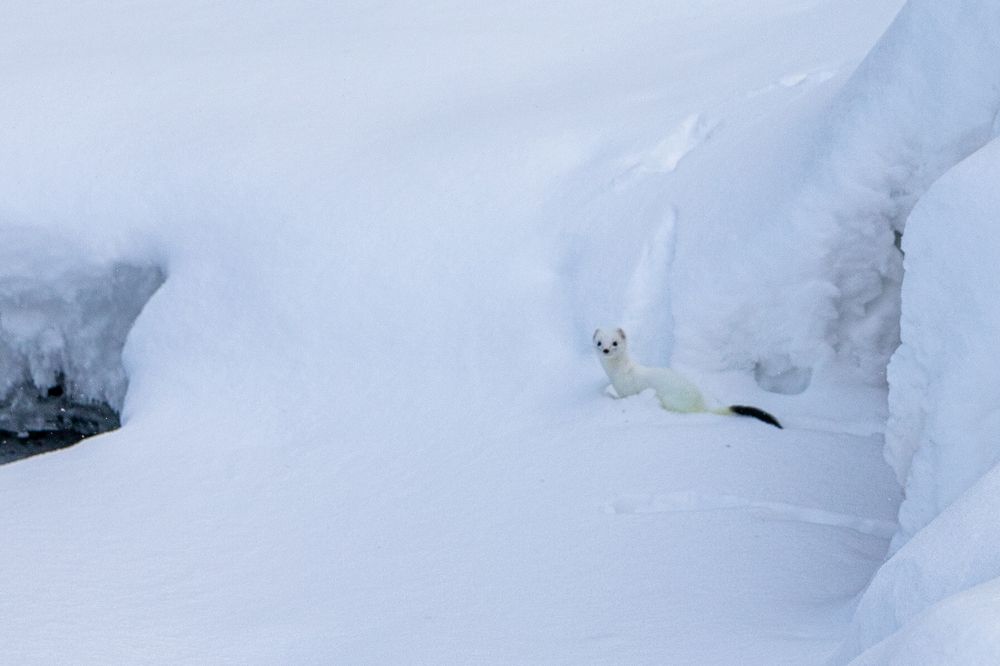 Photograph by Старцев Андрей
