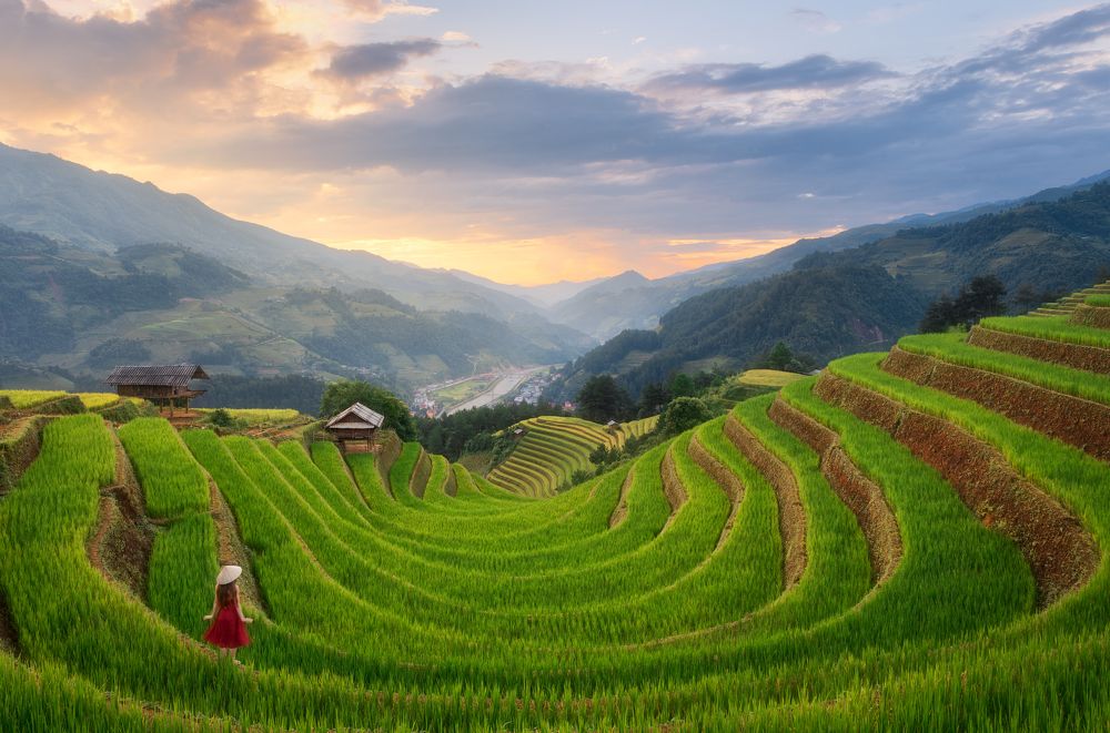 Photograph by Эрнест Вахеди