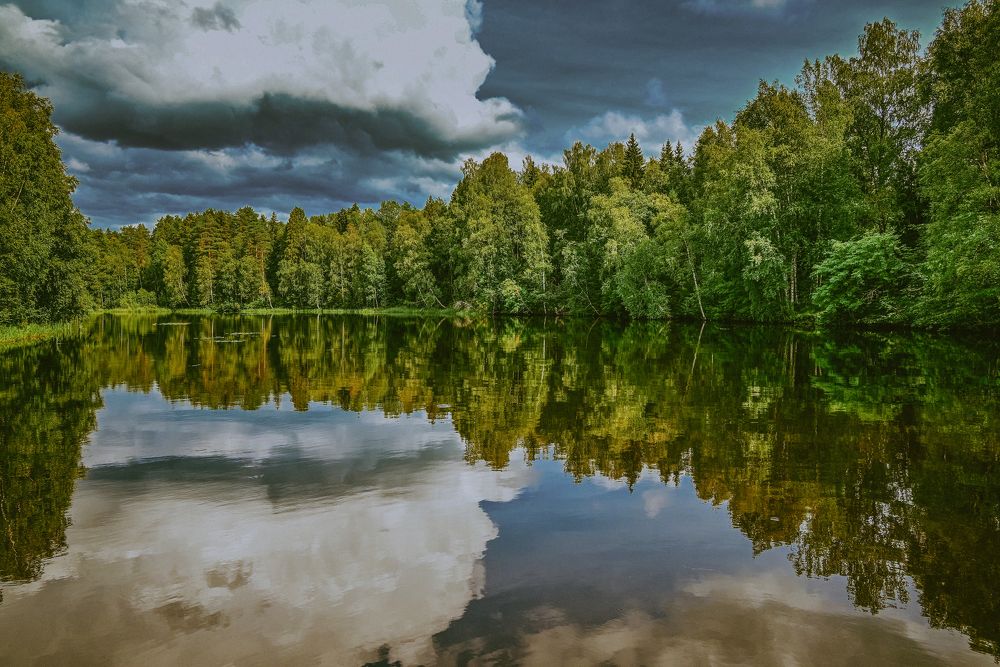 Photograph by Сергей Зимин