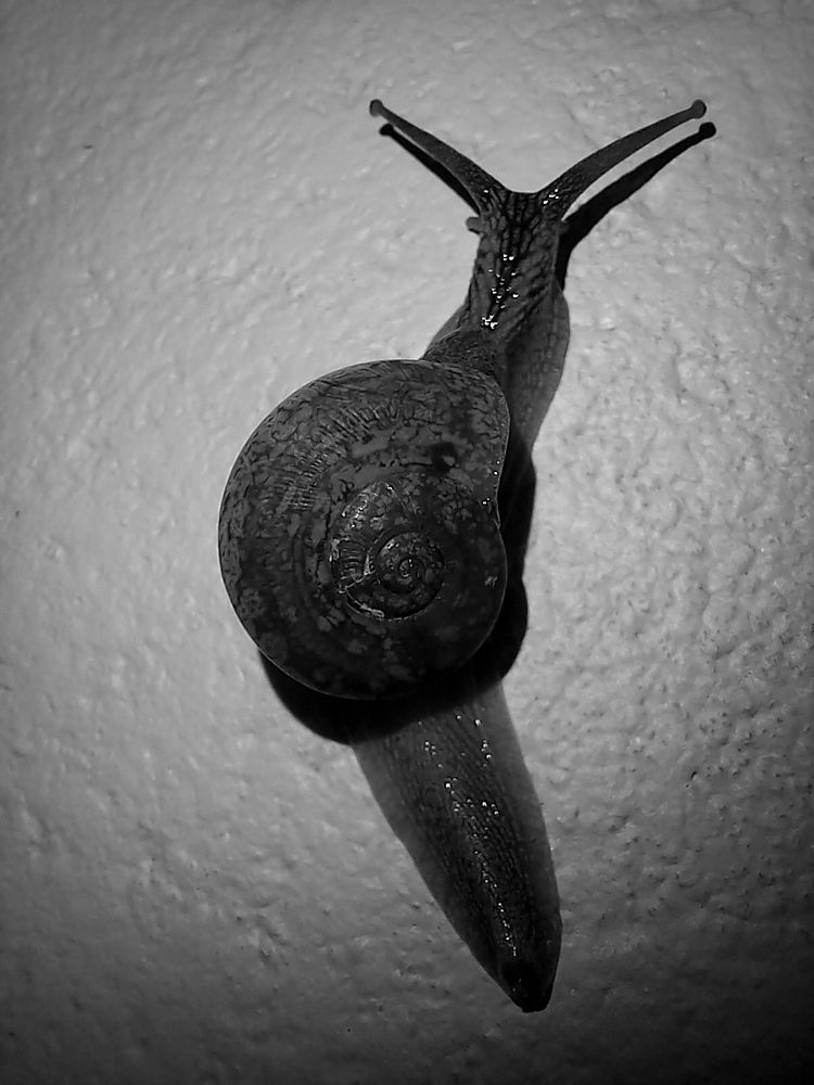 Photograph by HMCJ Chathuranga