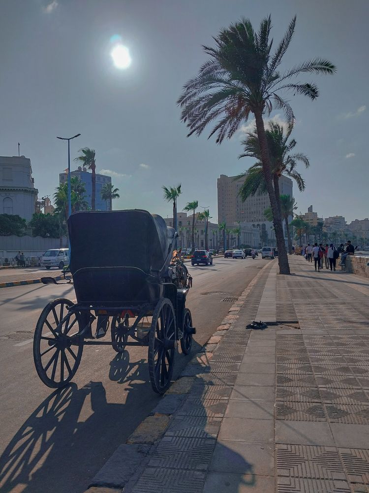 Фотография автора Mennatullah Dakhly