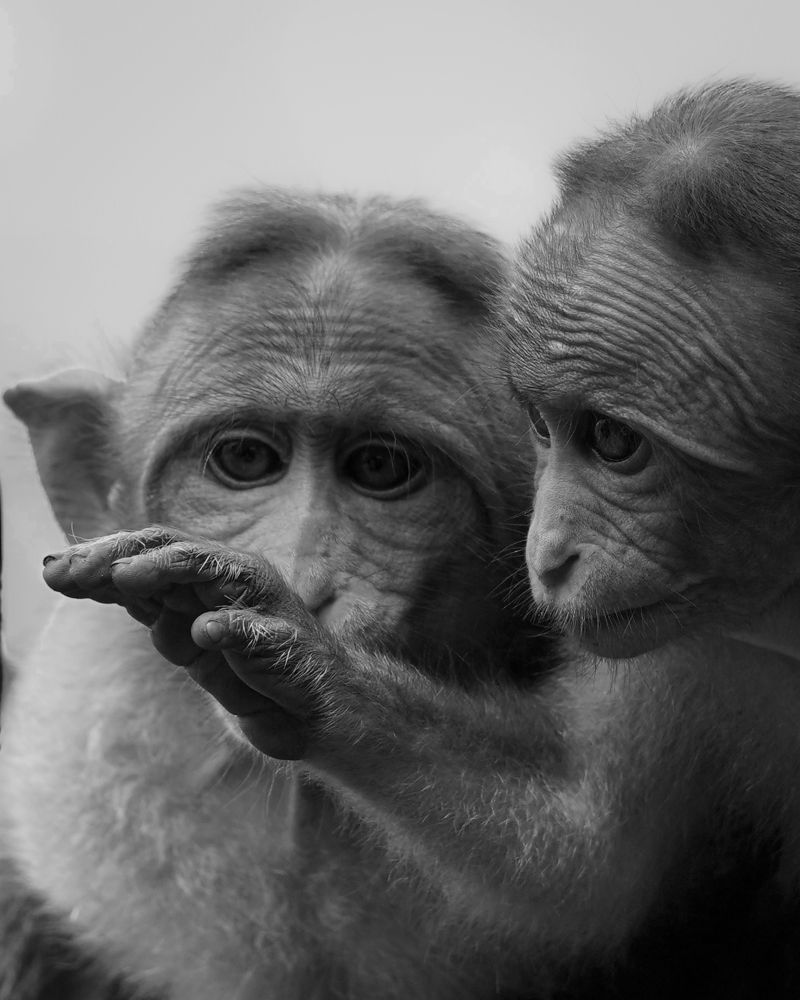 Photograph by Sathya Surya