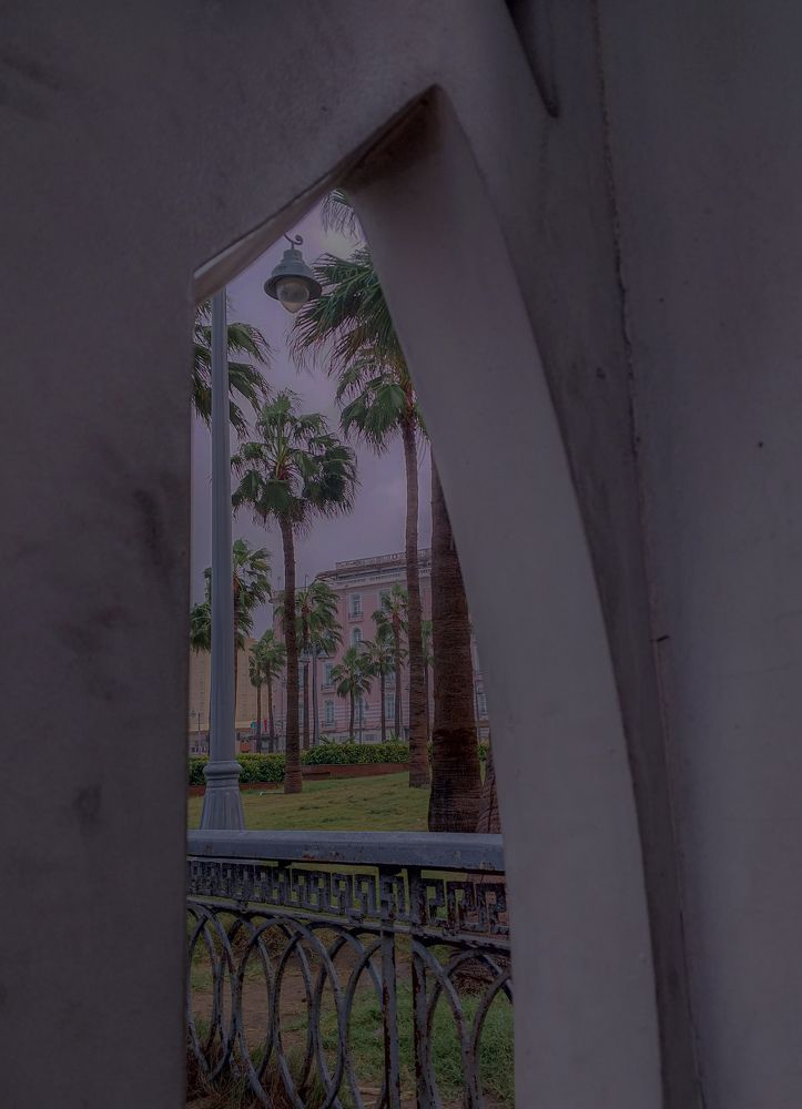 Фотография автора Mennatullah Dakhly