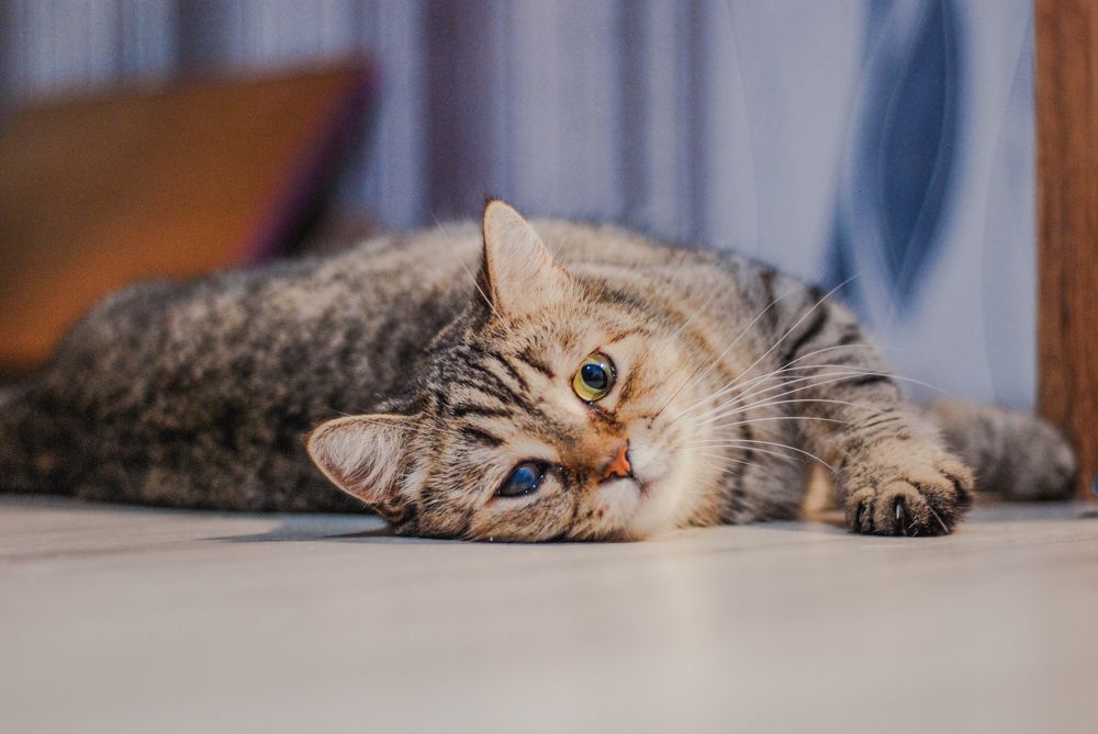 Photograph by Сергей Зимин