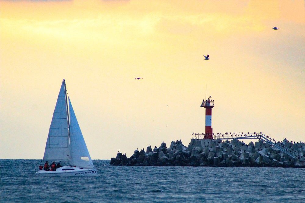 Photograph by Инна Майорова