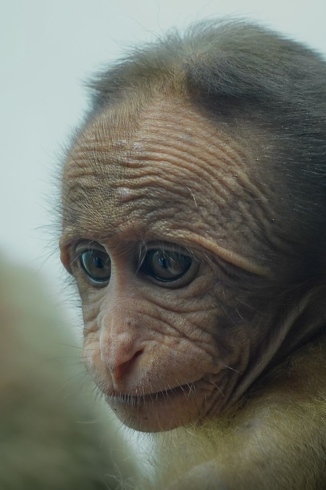 Photograph by Sathya Surya