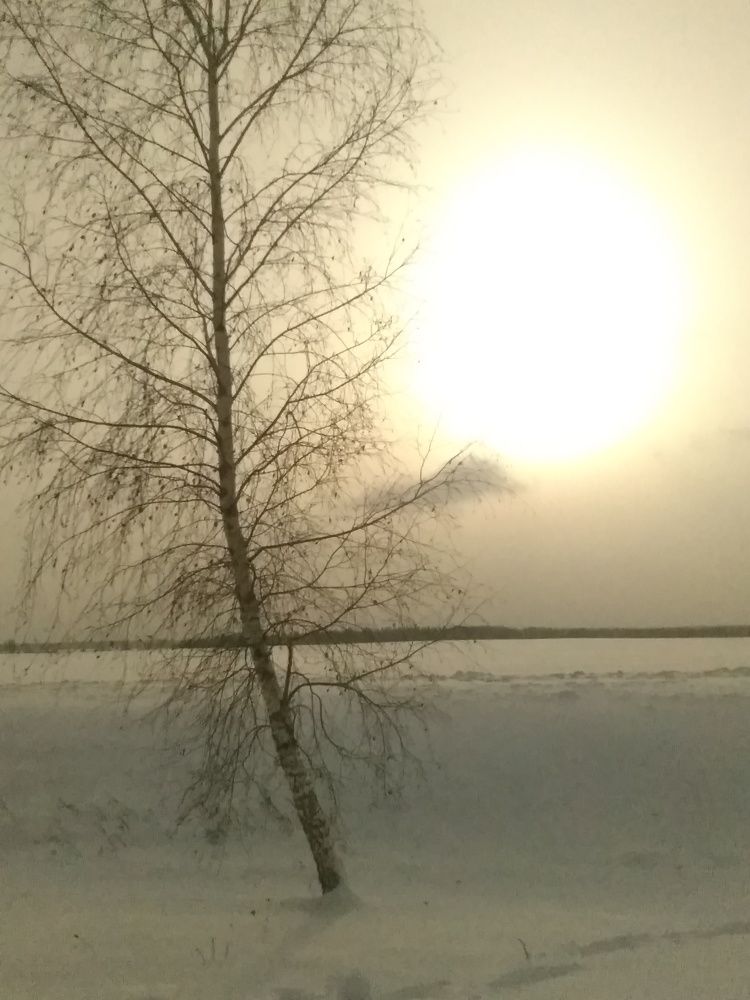 Photograph by Илья Сергеев
