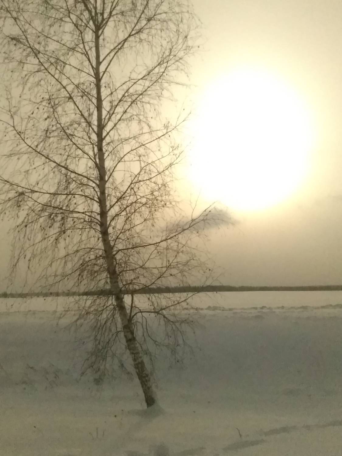 Photo #9931637