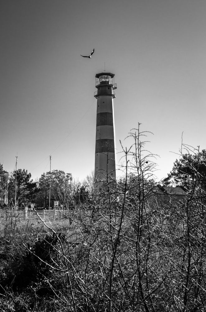 Photograph by Анастасия Кашенко