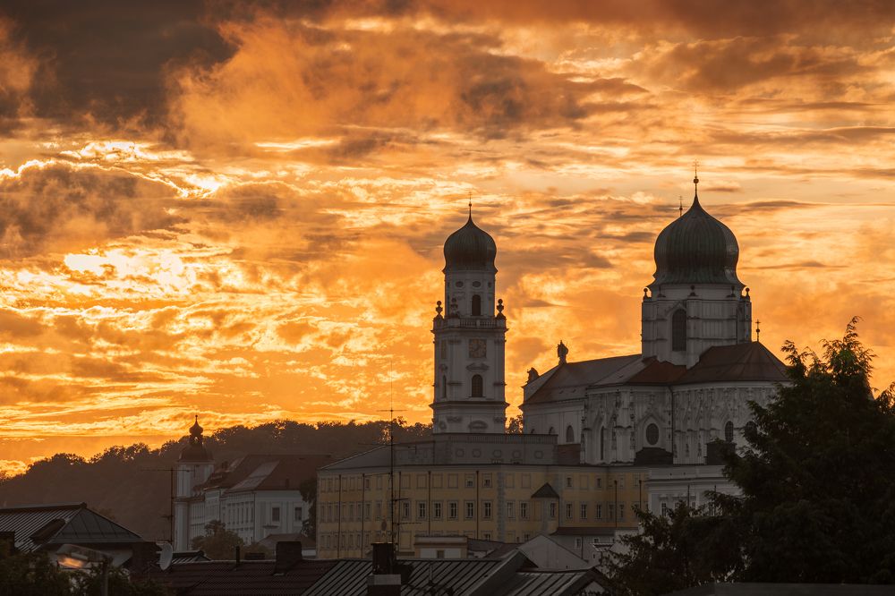 Photograph by Lara Iris