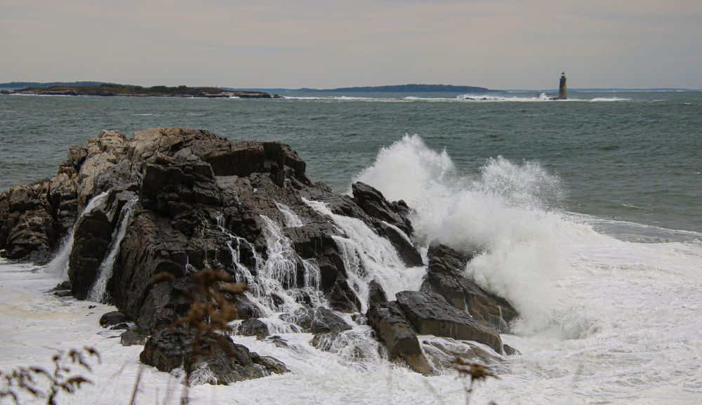 Photograph by Elaina Holland