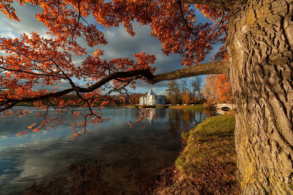 г.Пушкин, Екатерининский парк