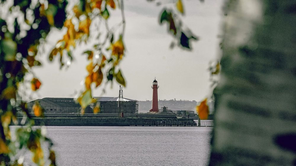 Photograph by Света Мулыкина