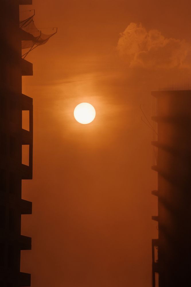 Photograph by Инна Корнеева