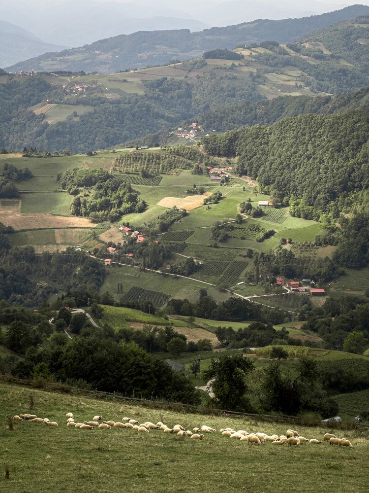 Photograph by Roman Vislobokov