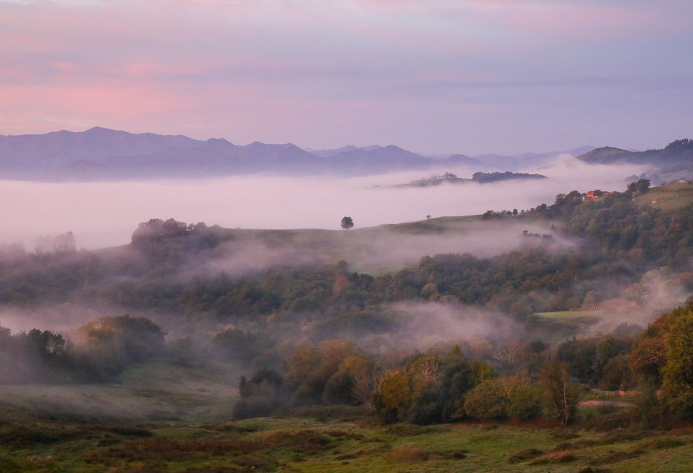 Photograph by Алекс Римский