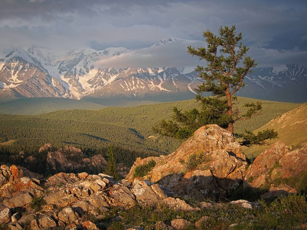 Photograph by Андрей Куприенко