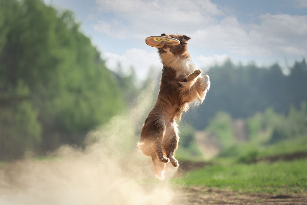 Photograph by Kovaleva Irina