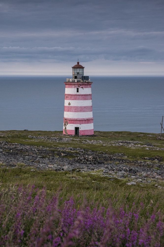 Photograph by Мария Горелова