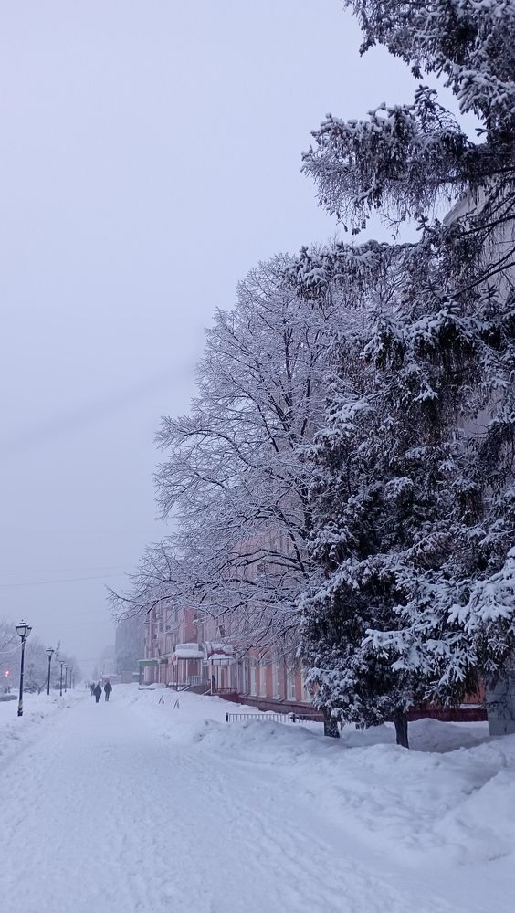 Photograph by Виктория