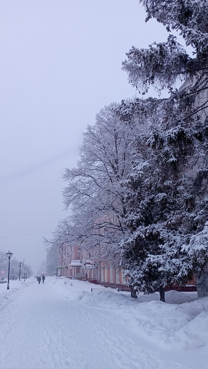 Photo #9932204