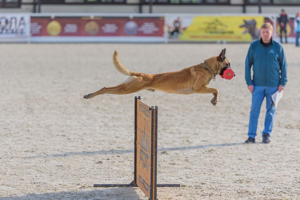 Photograph by Kovaleva Irina