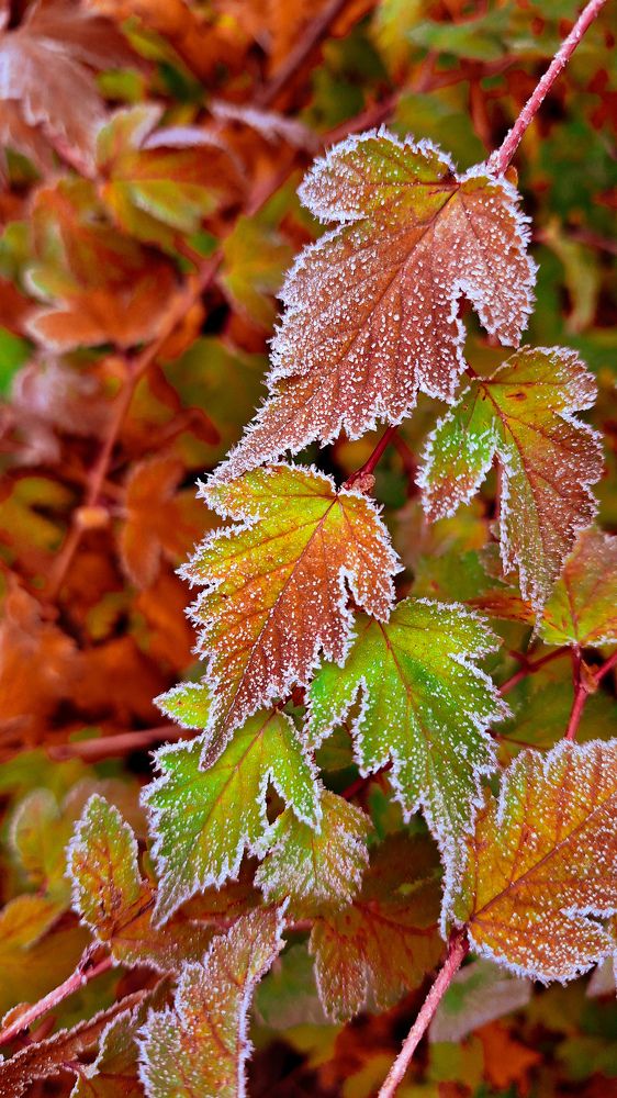 Photograph by Валентина Маслова