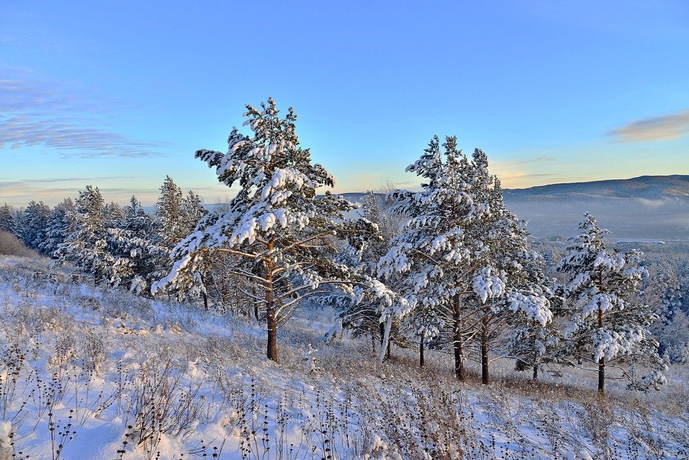 Photograph by Людмила