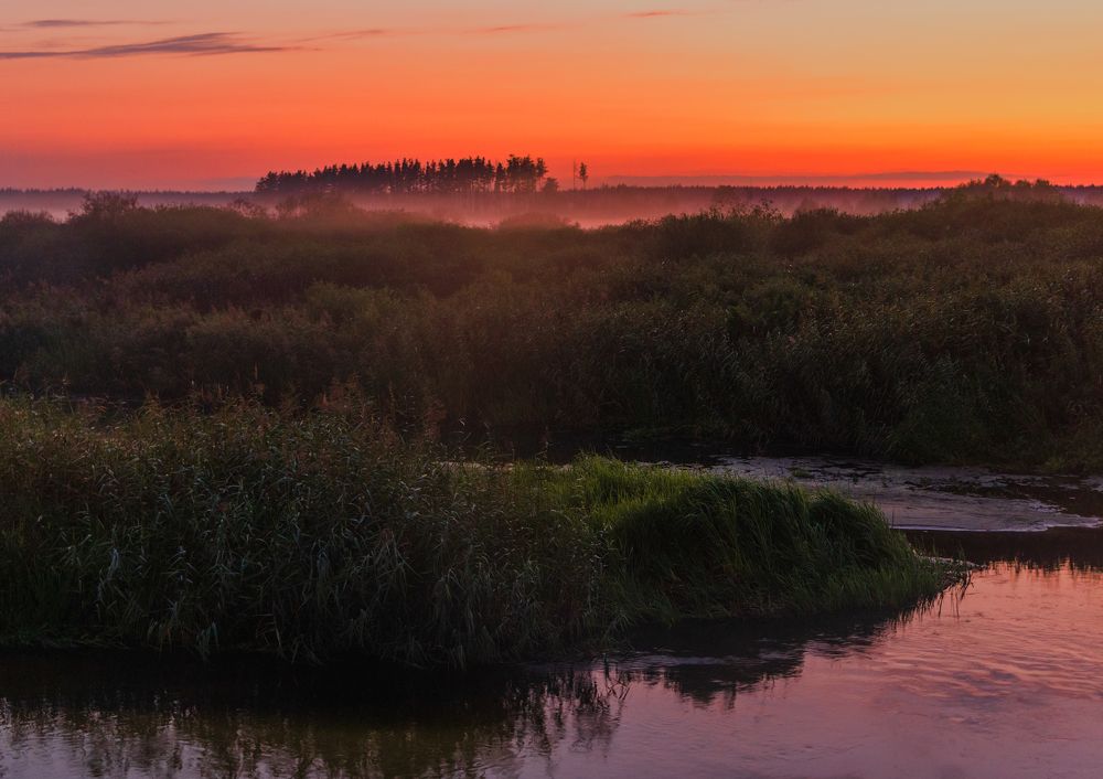 Photograph by Анна Бокова