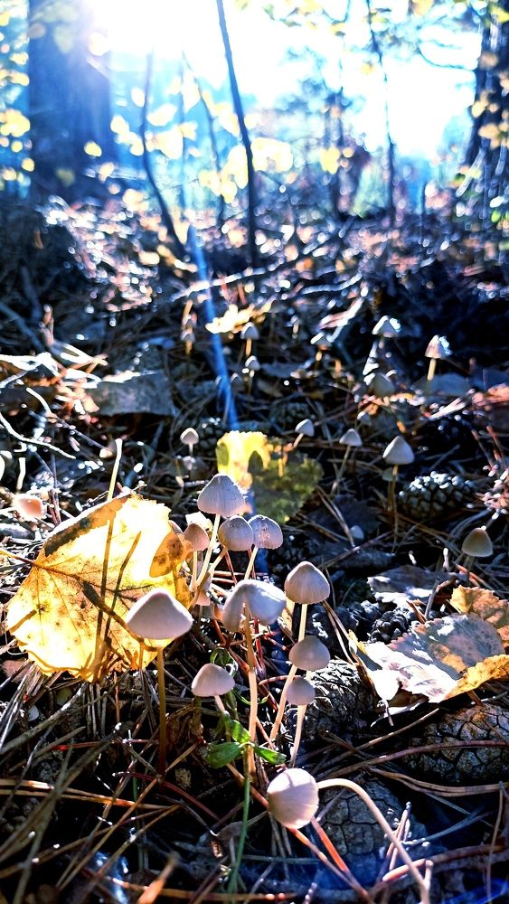 Photograph by Олеся Лосыгина