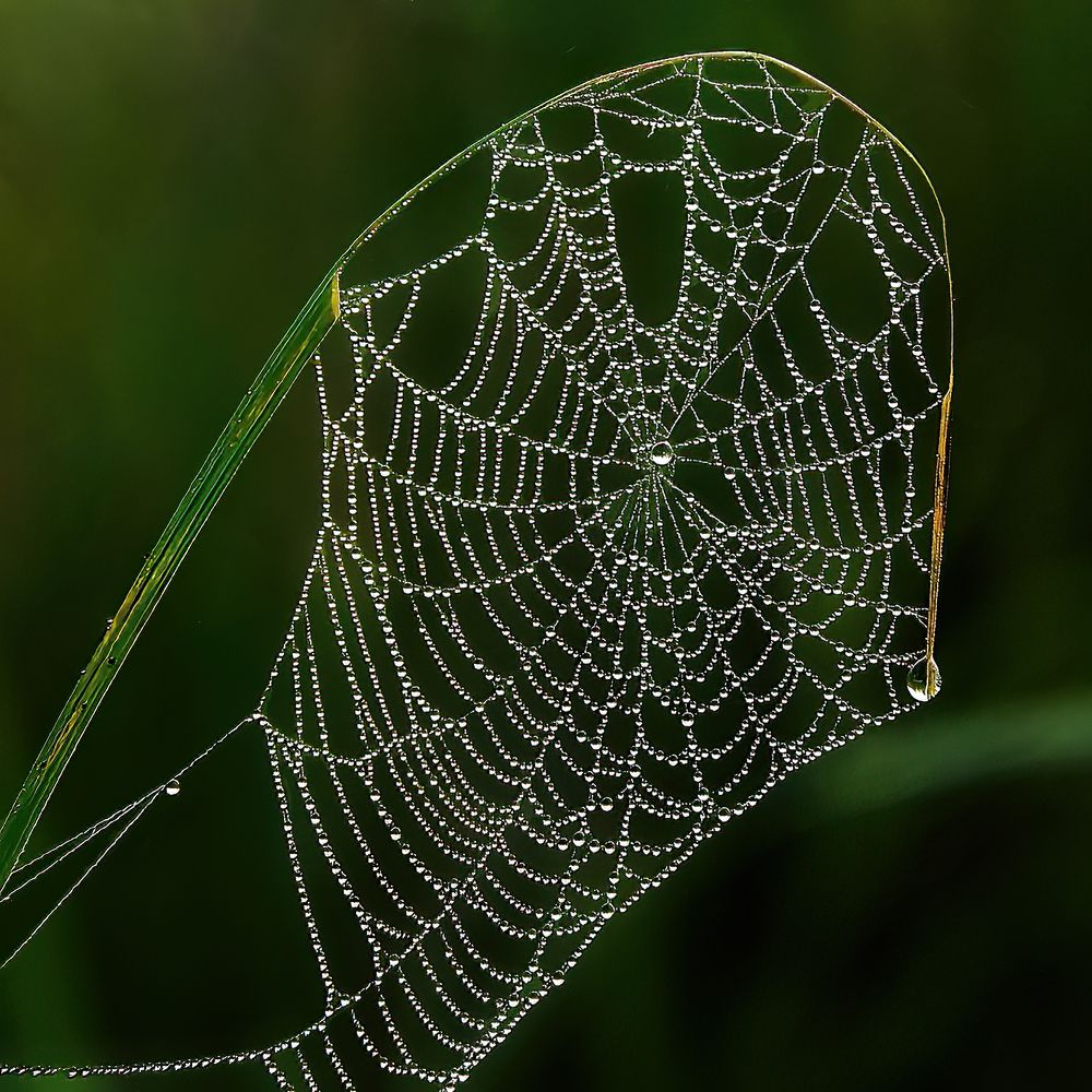 Photograph by Юрий Спасенников