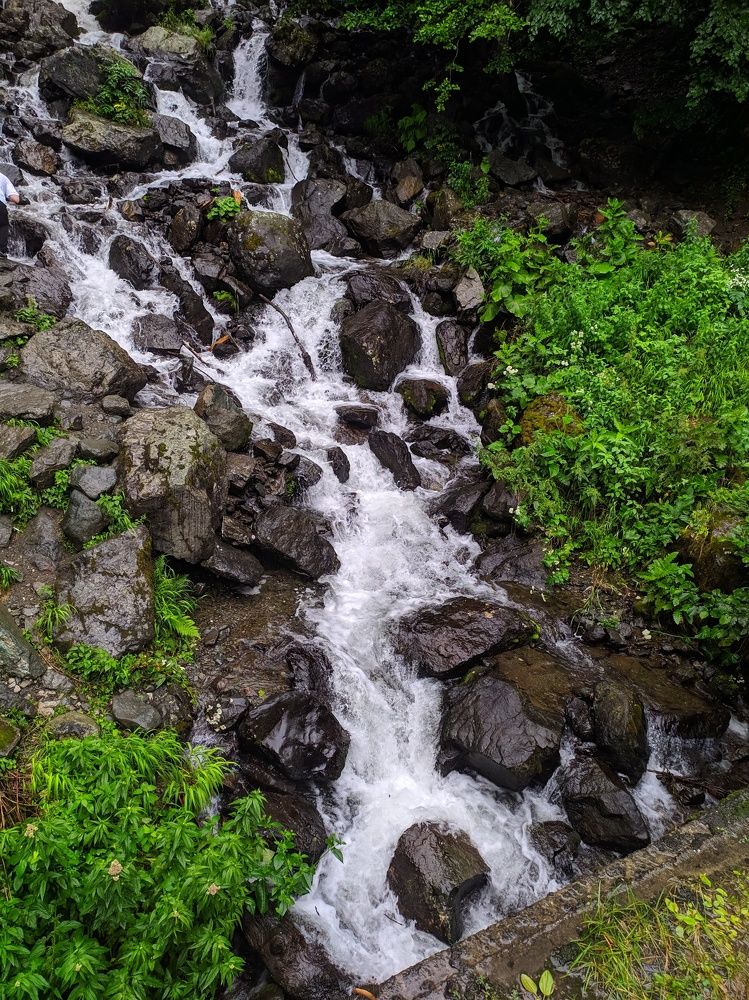 Photograph by Dryg Hardy