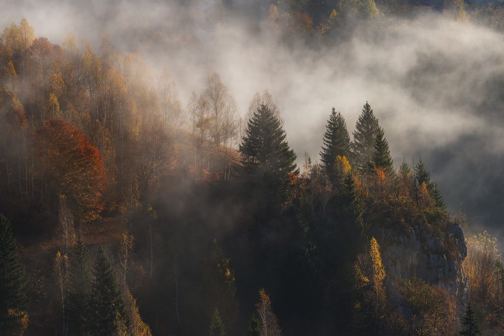 Photograph by Alex Coman