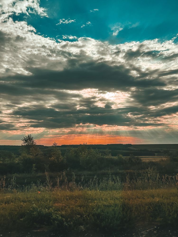 Photograph by Юлия Журавлева