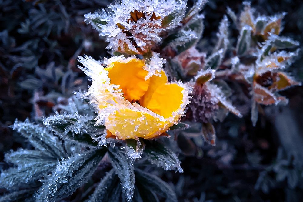 Photograph by Валентина Маслова