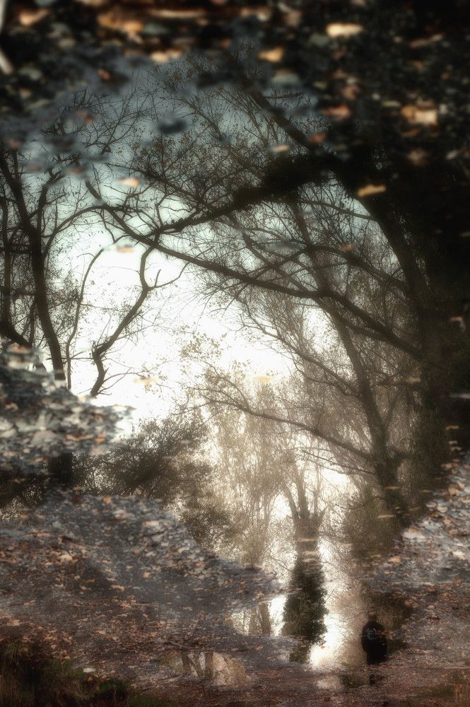 Photograph by Артур