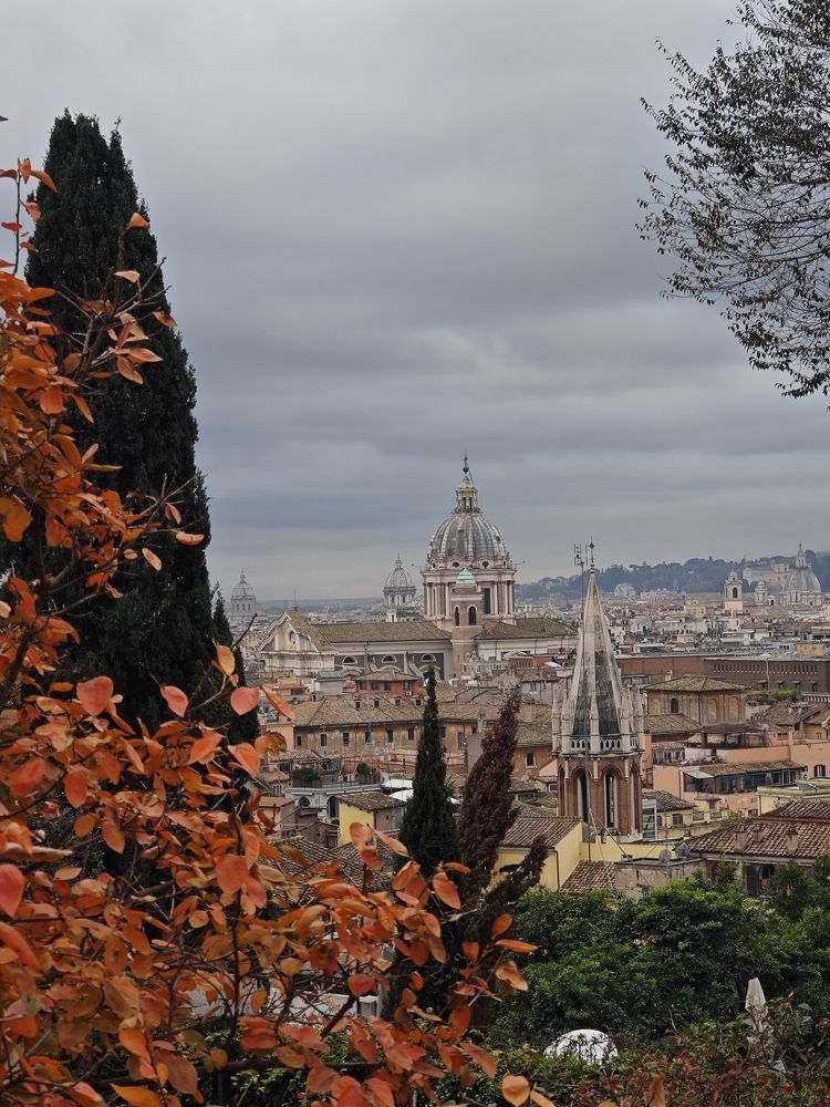 Photograph by Олег Сальников