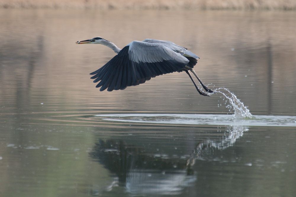 Photograph by Ganesh Paisa