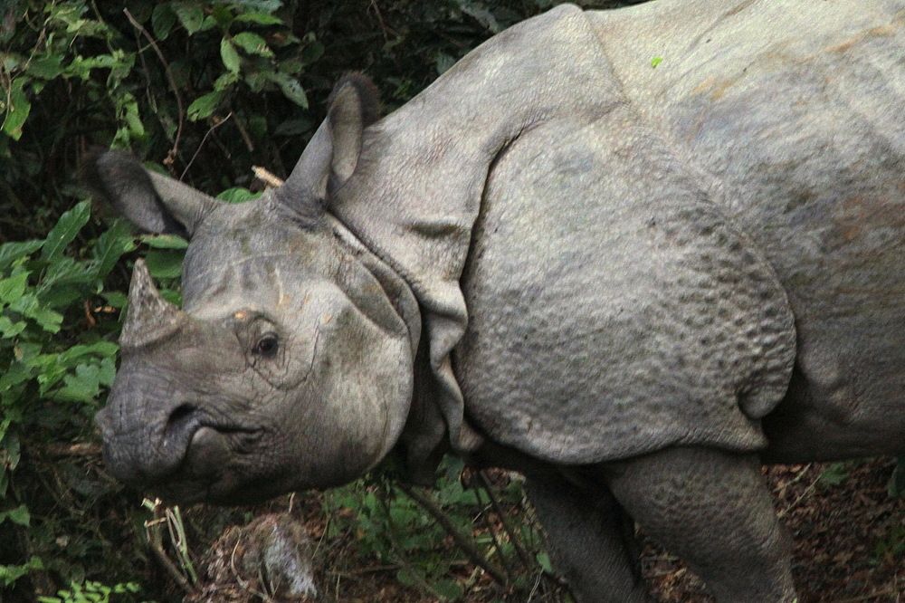 Photograph by Лада Денисова