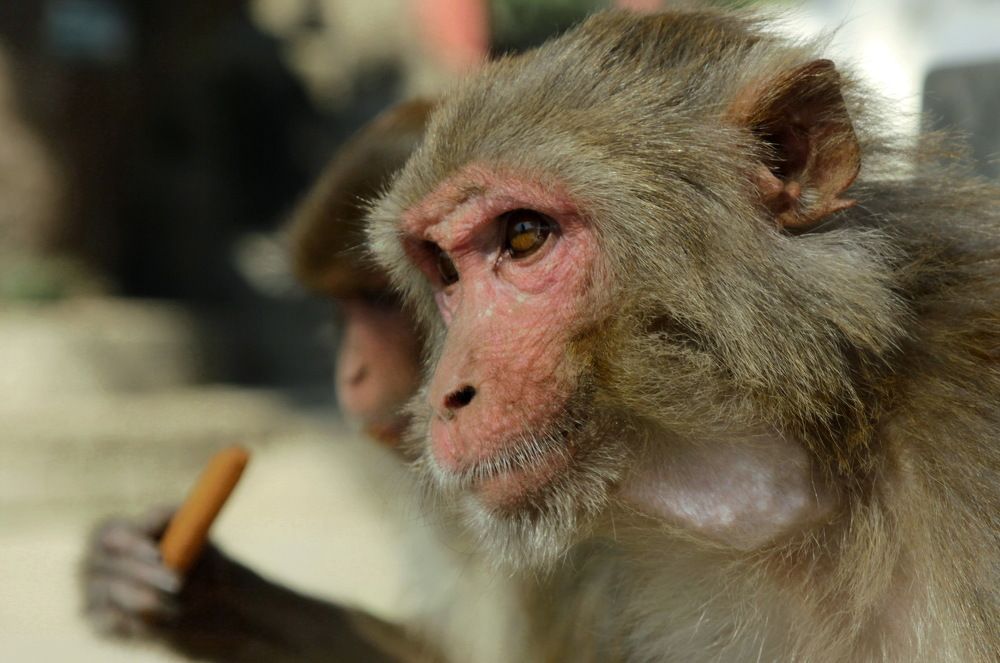 Photograph by Лада Денисова